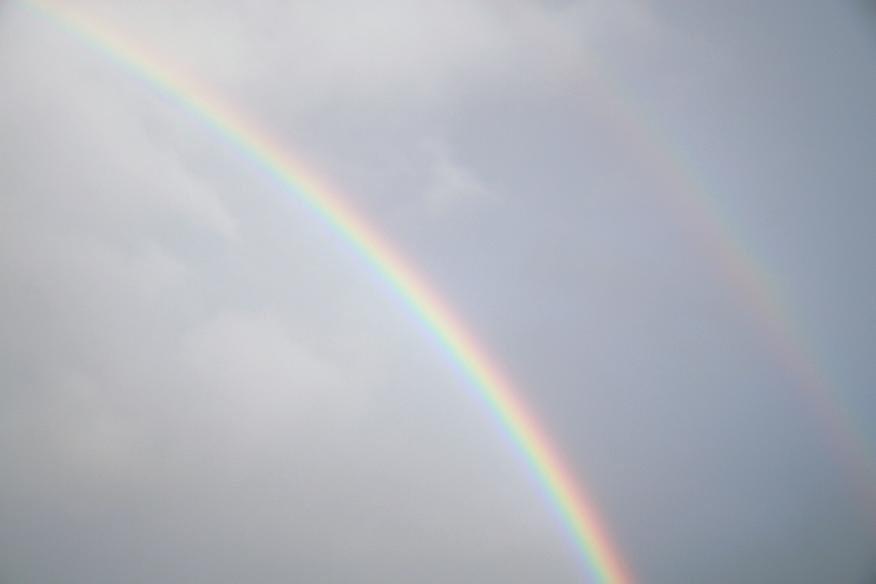Indi is waiting at Rainbow Bridge